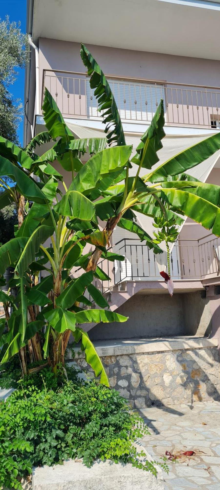 דירות ניקיאנה Gerys House מראה חיצוני תמונה