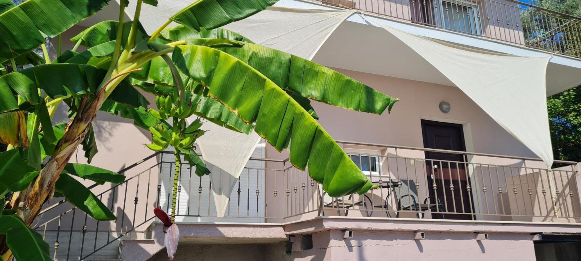 דירות ניקיאנה Gerys House מראה חיצוני תמונה